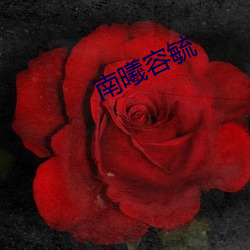 九游会登录j9入口 - 中国官方网站 | 真人游戏第一品牌