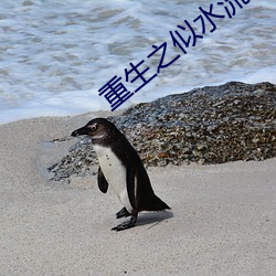 重生之似水流年