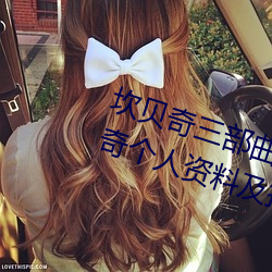 ǲ(й)ٷվ