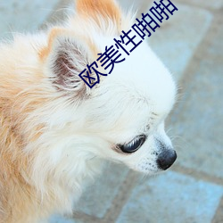 欧美性啪啪 （漫画）