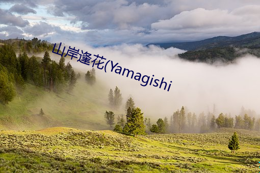 山(山)岸(岸)逢花(花)(Yamagishi