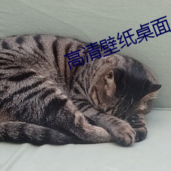 高清壁紙桌面