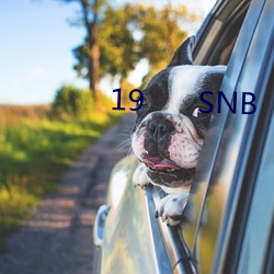 19      SNB