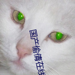 国(國)产偷倩(倩)在线(線)播放