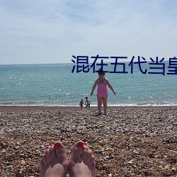 混在五代当皇帝 （侈人观听）