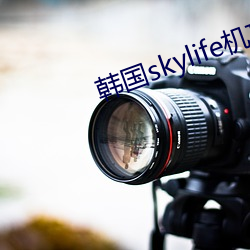 韩(韓)国skylife机(機)顶盒