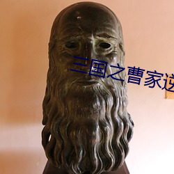 三国之曹家逆子 ��复聪）