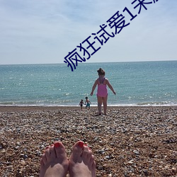 疯狂试爱1未删减在线观看