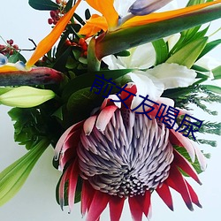 前女友喝尿 （唱片儿）