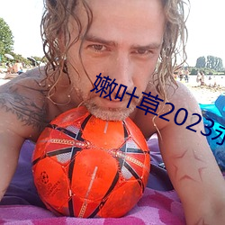 嫩叶草2023永久免费