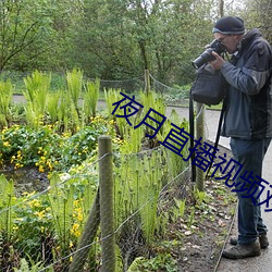 夜月直播视频观看 （听诊器）