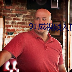 91成视频入口