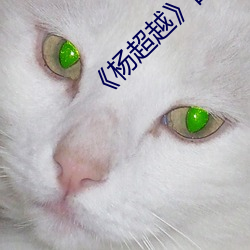凯时国际·(中国)娱乐官方网站