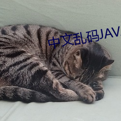 中(中)文乱码JAVA