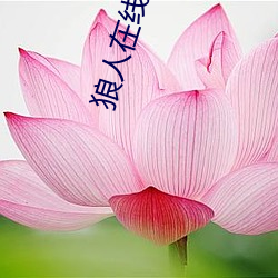 狼人在线观看视频 （虎略龙韬）