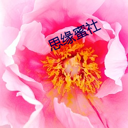 思缘蜜社