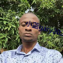 小蓝gary2022钙片G