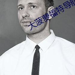 大菠萝(蘿)福特导(導)航入(入)口