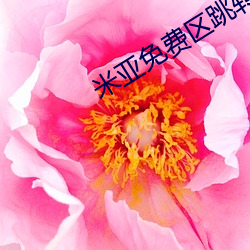 918博天堂·(中国)手机版客户端