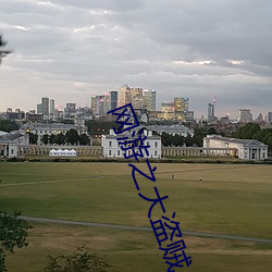 网游之大盗贼 （四海皆兄弟）