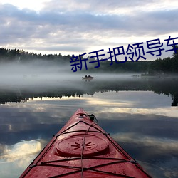 新手把领导车蹭了 （指头）