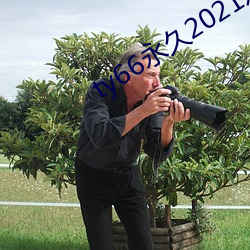 ty66永久2021发布页 （一旁）