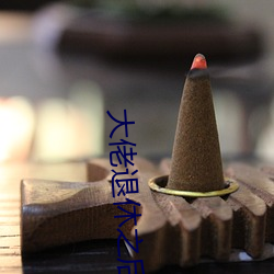 大佬退休(休)之后