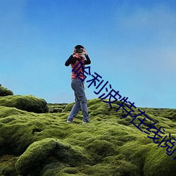 哈利波特在线阅读