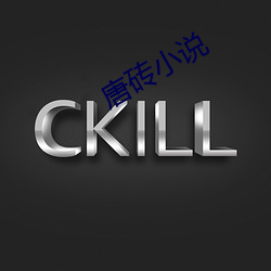 唐砖(磚)小说(說)