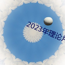 2023年理论片电线