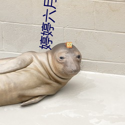 婷婷六(liù)月丁香(xiāng)