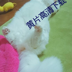 黄片高(gāo)清下载