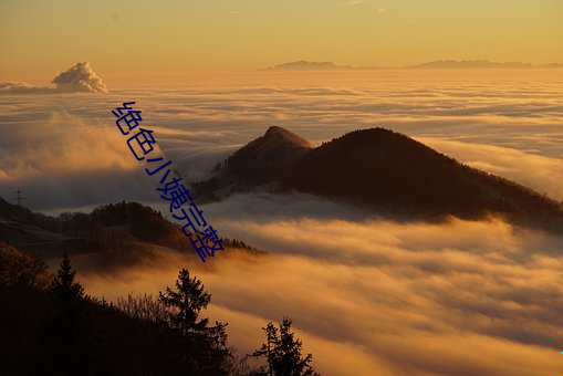 918博天堂·(中国)手机版客户端