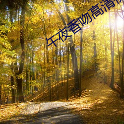 午夜香(xiāng)吻高清视频(pín)在线看