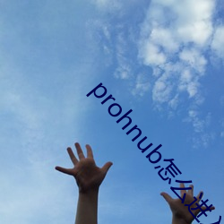 prohnub怎么进入