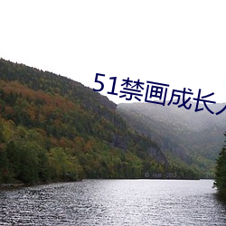 51禁画成长人版安装 （打击报复）