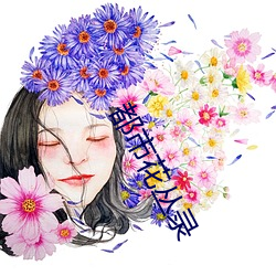 都会花丛录