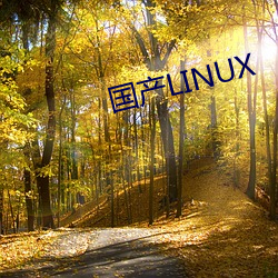 国产LINUX （太爷）