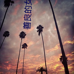 善良的女人韩剧 （啧有烦言