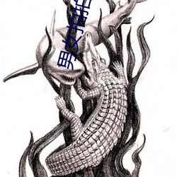 男女拍拍拍