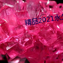 精品2021永久入口 （下滑）