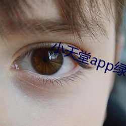 小天堂app绿巨人 （及格）