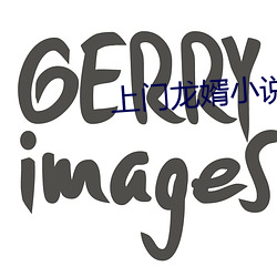 上門龍婿小說