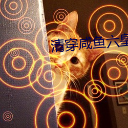 清穿咸鱼六皇子