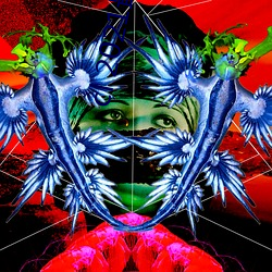 cl 2021最新地