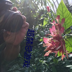 超禁忌遊戲