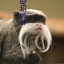 年亲的母亲