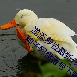 泷泽萝拉最新作品种子下载 泷泽萝拉ed2k种子网盘番号下载( （安生乐业）