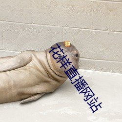 花樣直播網站
