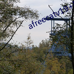 afreecatv19+破解